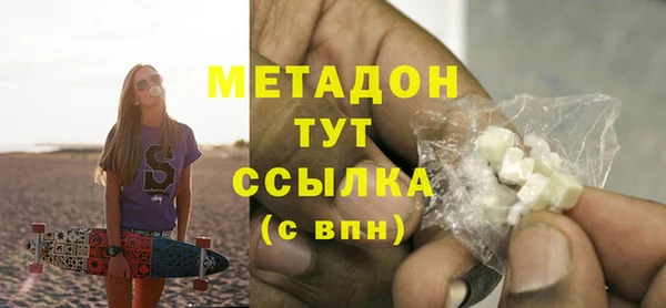 индика Бородино