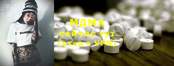 индика Бородино