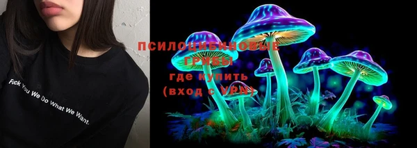 индика Бородино