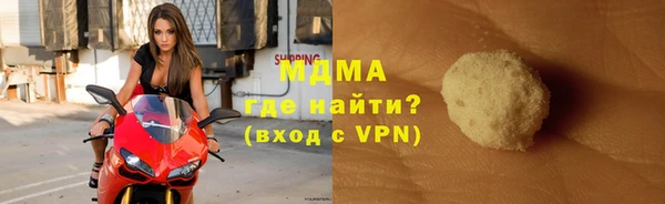 индика Бородино