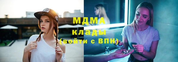 индика Бородино