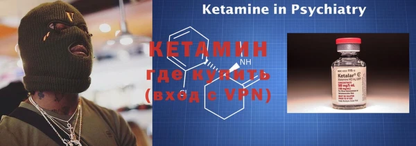 индика Бородино