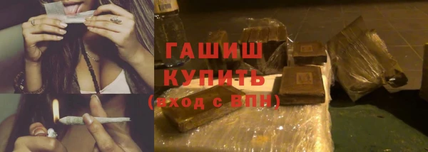 индика Бородино