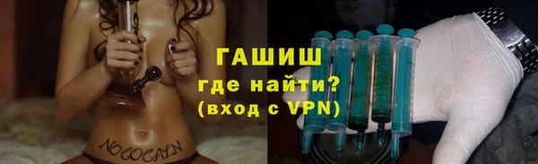 индика Бородино