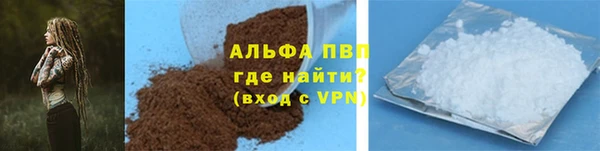 индика Бородино