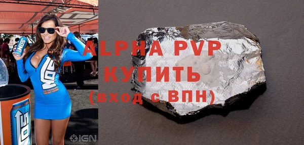 индика Бородино