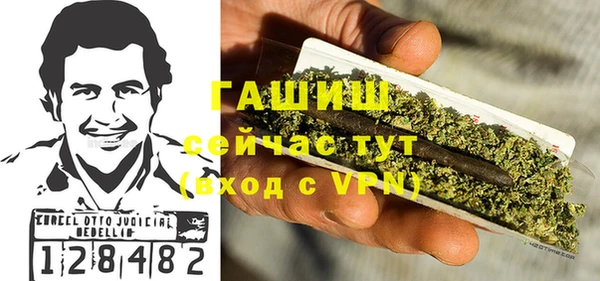 индика Бородино