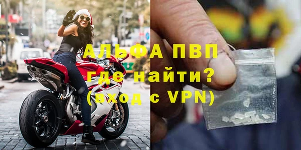индика Бородино