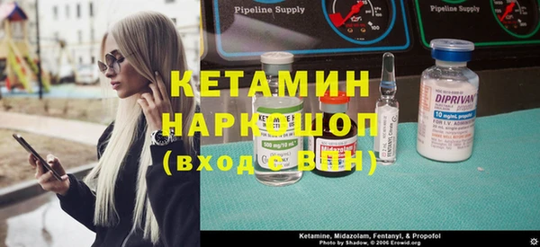 индика Бородино