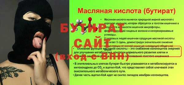 индика Бородино