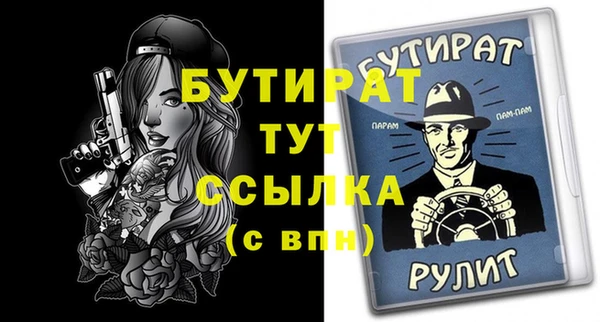 индика Бородино