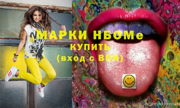 индика Бородино