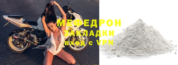 индика Бородино