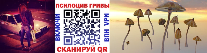 Галлюциногенные грибы прущие грибы  даркнет сайт  даркнет какой сайт  Прокопьевск 