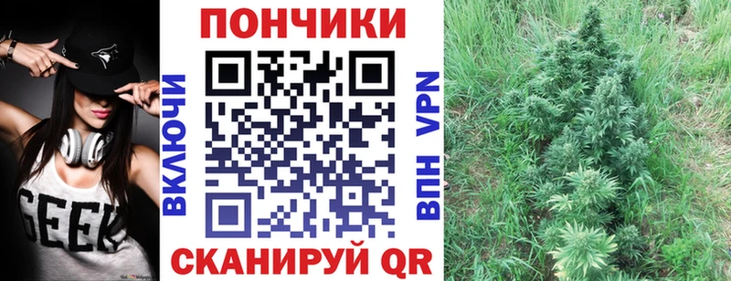 Бошки марихуана индика  гидра ссылки  Прокопьевск 